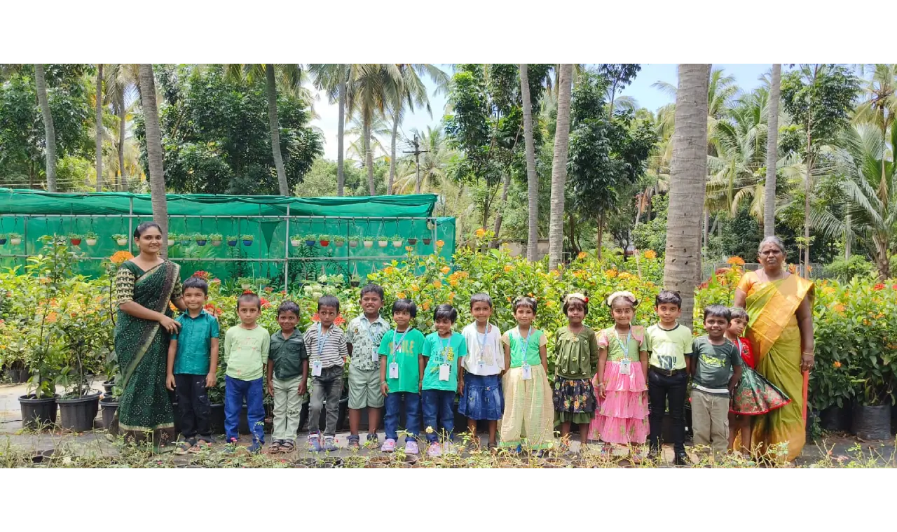 Green Day Celebration 3