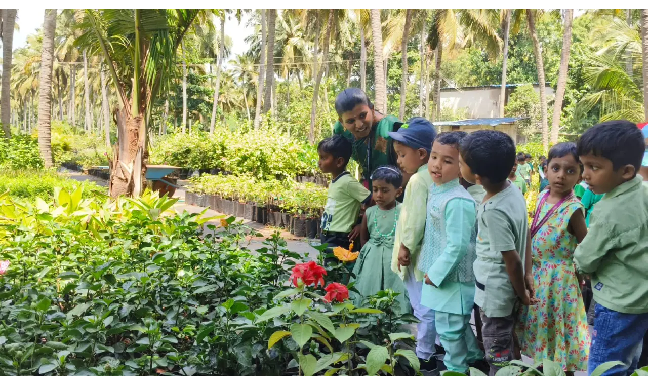 Green Day Celebration 4