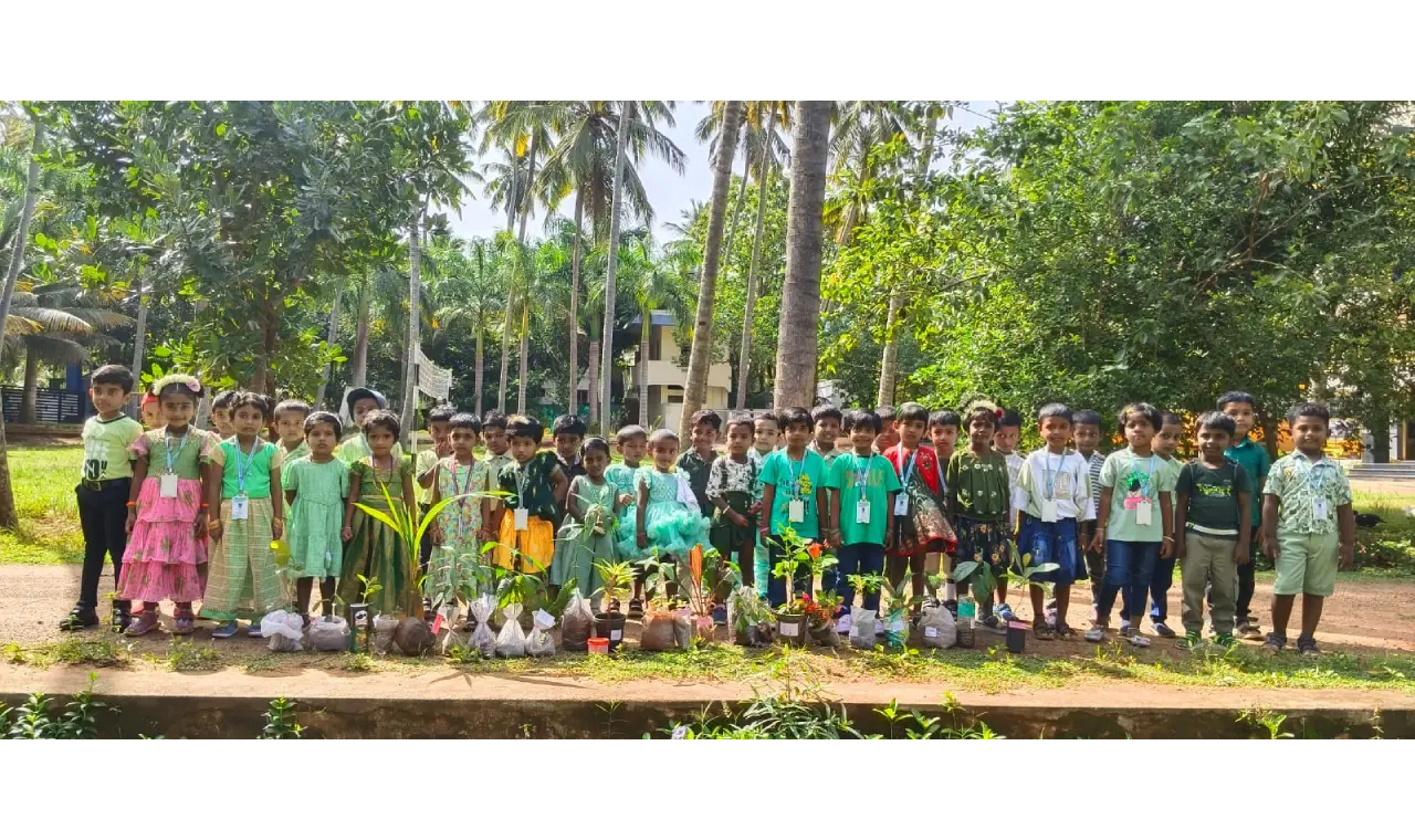 Green Day Celebration 5